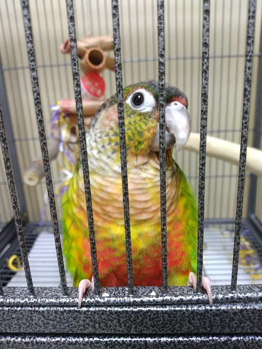 Clutch Hutch Picture 3