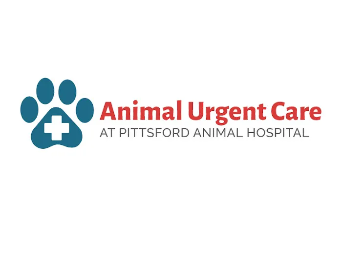 Animal Urgent Care Picture 2