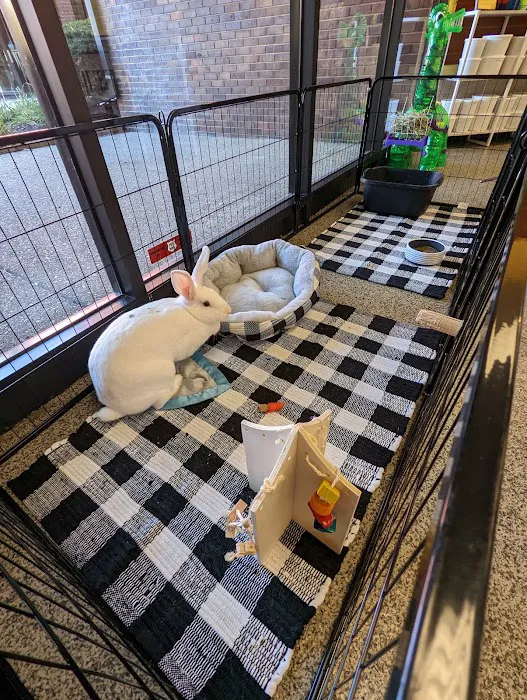 Norm's Piggy Pen Picture 7