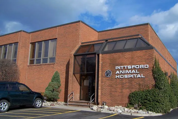 Pittsford Animal Hospital (of Pittsford) Picture 2