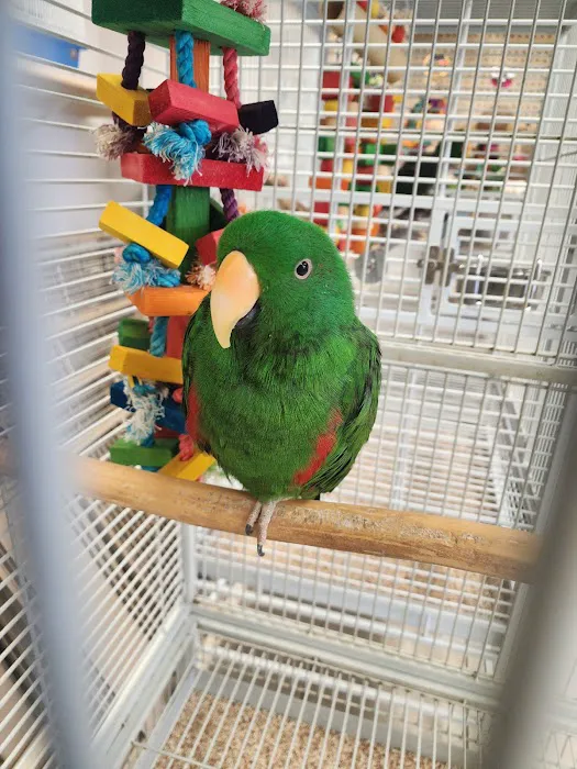 House of Birds Picture 9
