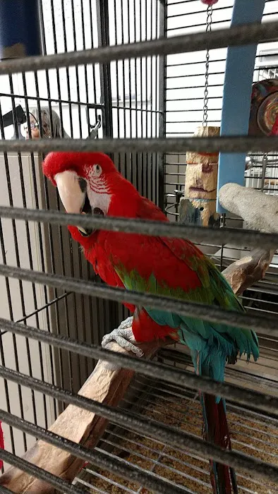 House of Birds Picture 1