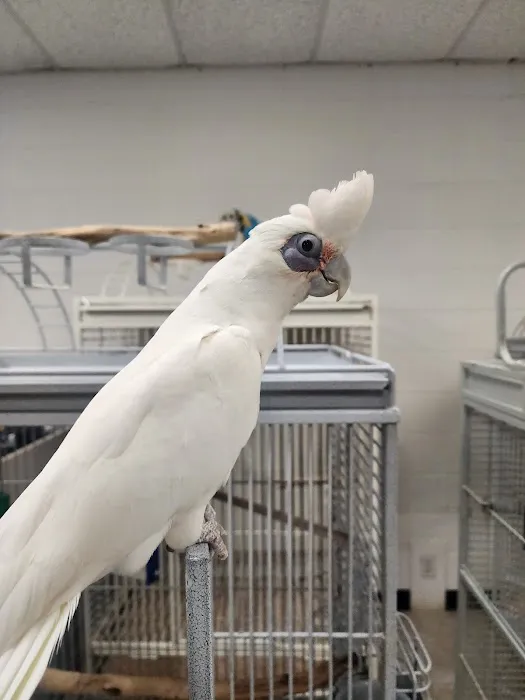 House of Birds Picture 5