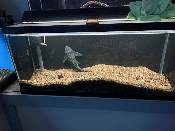 Wayne's Feed Store Picture 2