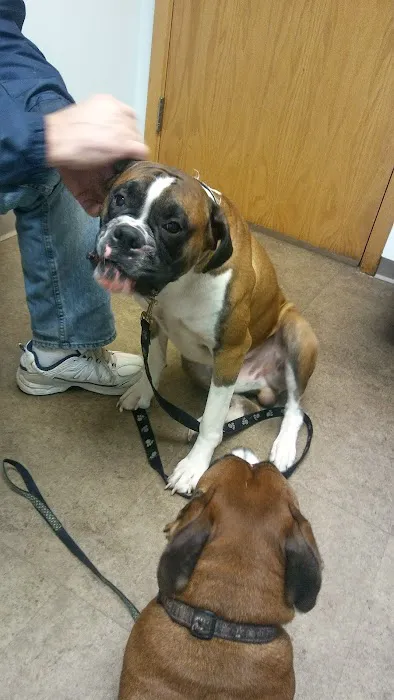 Suburban Animal Hospital Picture 6