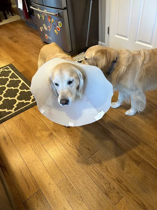 Suburban Animal Hospital Picture 10