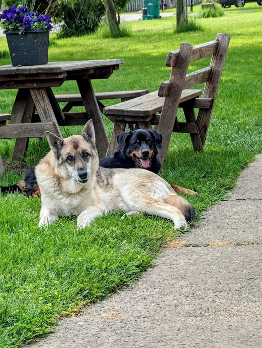 Suburban Animal Hospital Picture 3