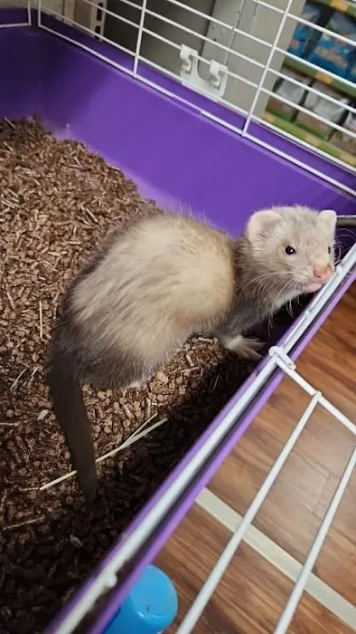 Michelle’s Pet Center Picture 3