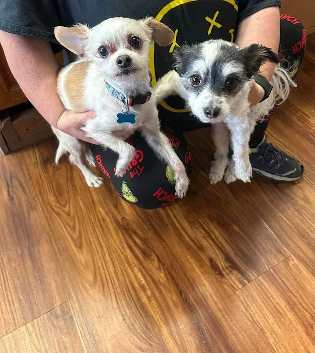 Michelle’s Pet Center Picture 8