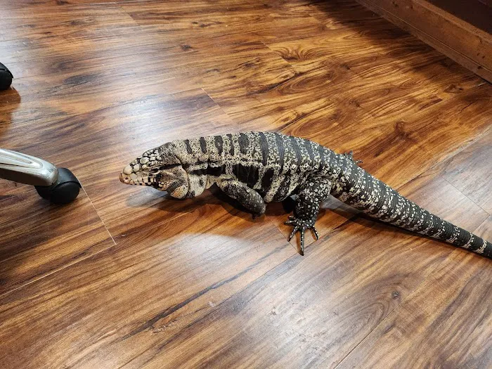 Michelle’s Pet Center Picture 9
