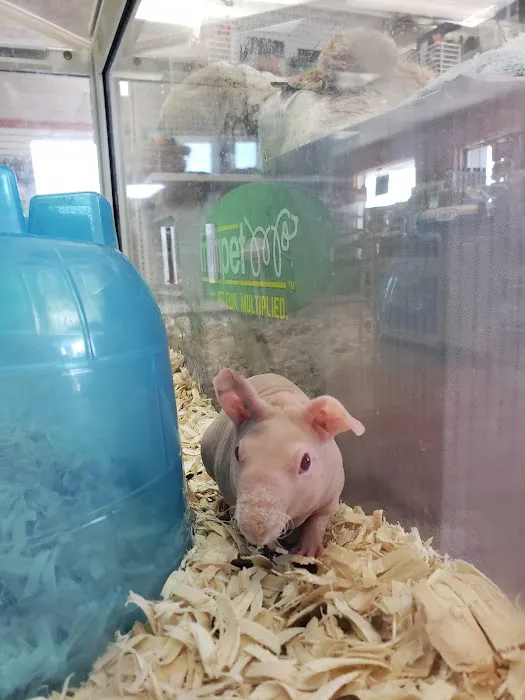 LC Pets, LLC Picture 2