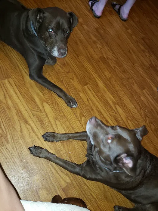 Lakeside Animal Hospital Picture 9