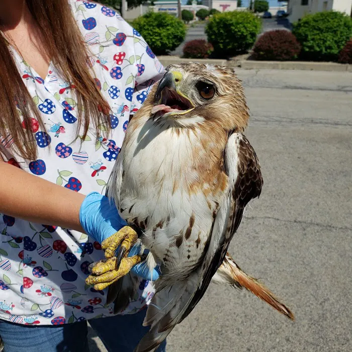 Lakeside Animal Hospital Picture 7