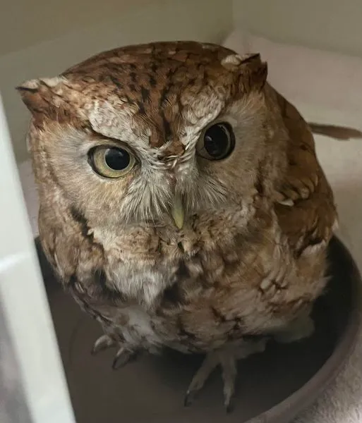 Lakeside Animal Hospital Picture 5