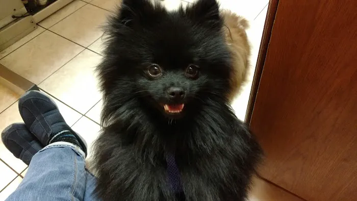 Lakeside Animal Hospital Picture 3