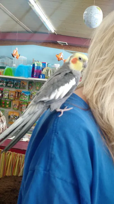 Animal World Adventures Picture 4