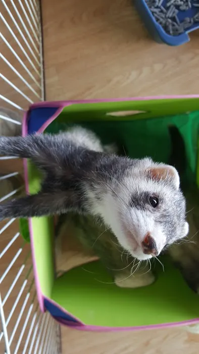 Animal World Adventures Picture 9