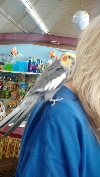Animal World Adventures Picture 3