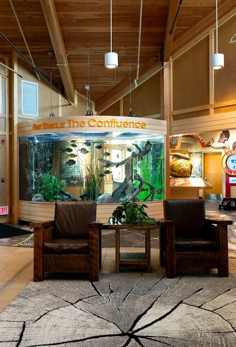 Aquamoon North Aquarium Maintenance Picture 6