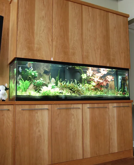 Aquamoon North Aquarium Maintenance Picture 7