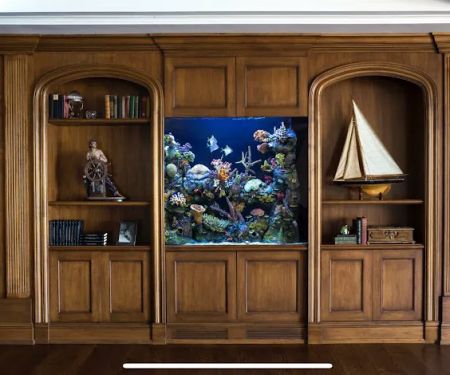 Aquamoon North Aquarium Maintenance