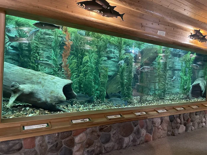 Aquamoon North Aquarium Maintenance Picture 8
