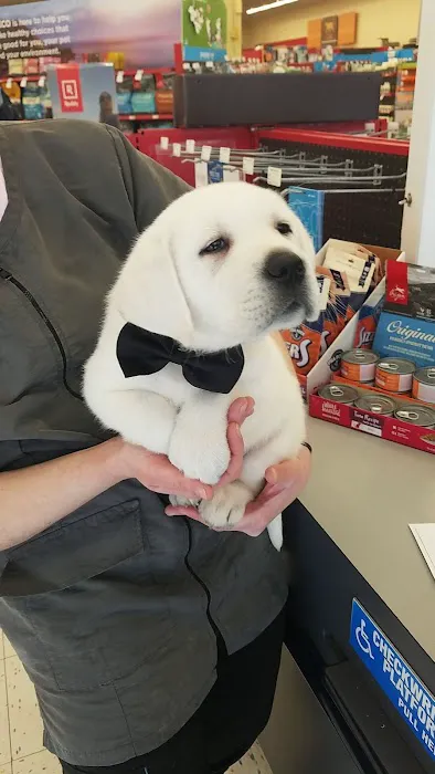 Petco Picture 2