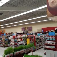 Petco ico