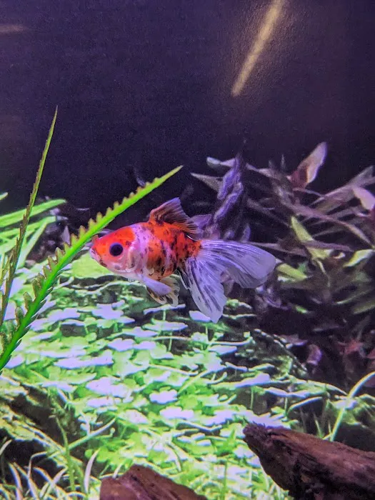 Petco Picture 9