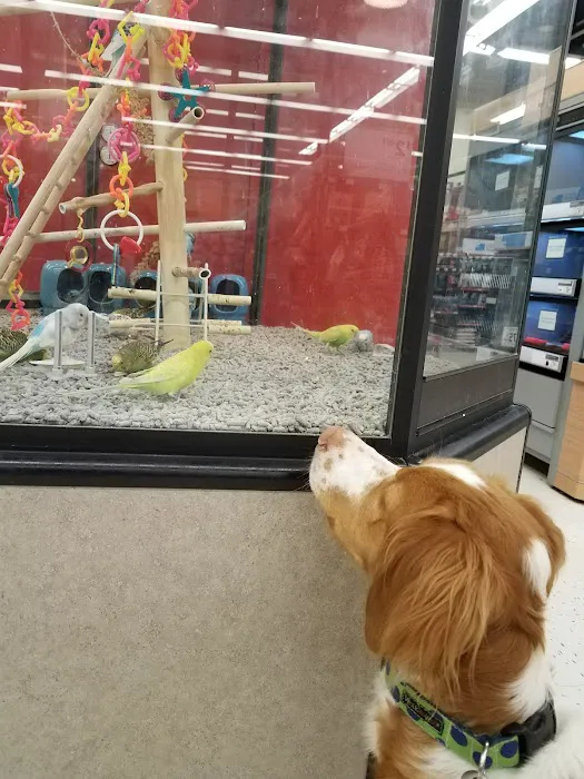 Petco Picture 8
