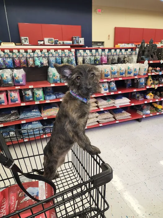 Petco Picture 5