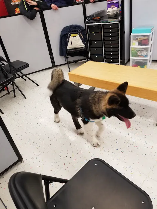 Petco Picture 7