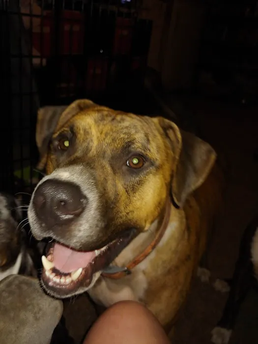 South Jefferson Veterinary Hospital Picture 7