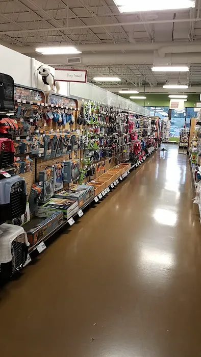 Pet Supplies Plus Battle Creek Picture 8