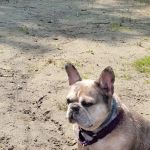 Hoosick Veterinary Clinic