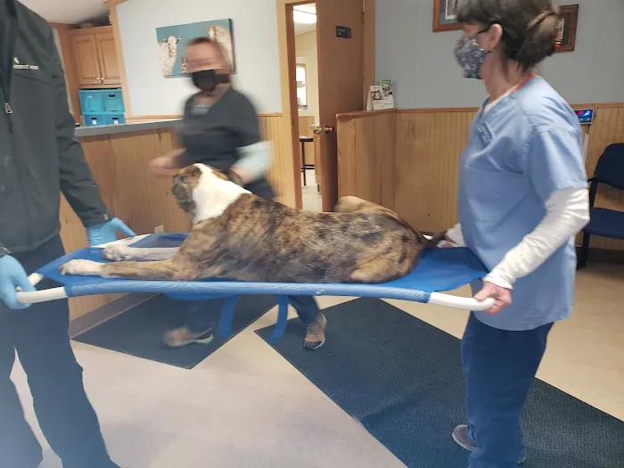 Hoosick Veterinary Clinic Picture 6