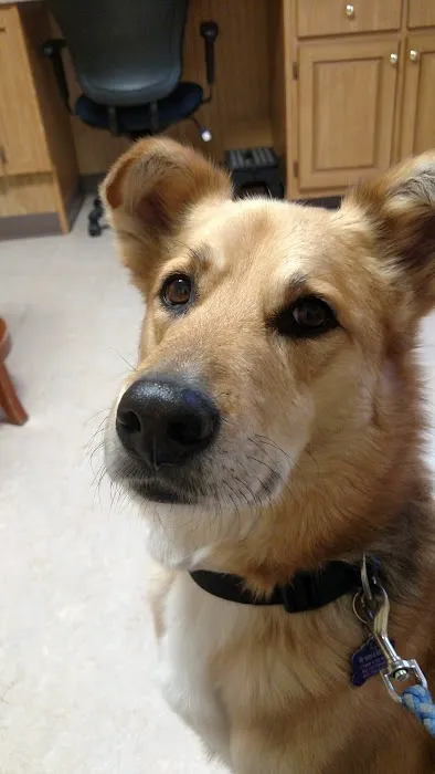 Hoosick Veterinary Clinic Picture 2