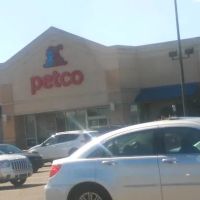 Petco ico