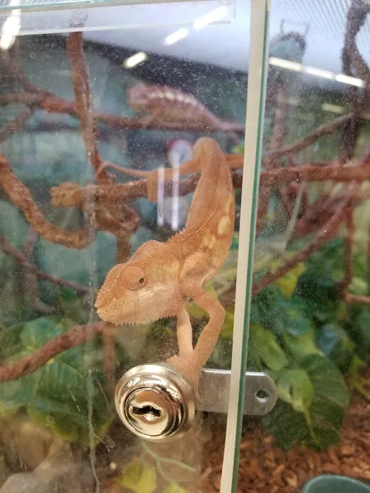 Petco Picture 2