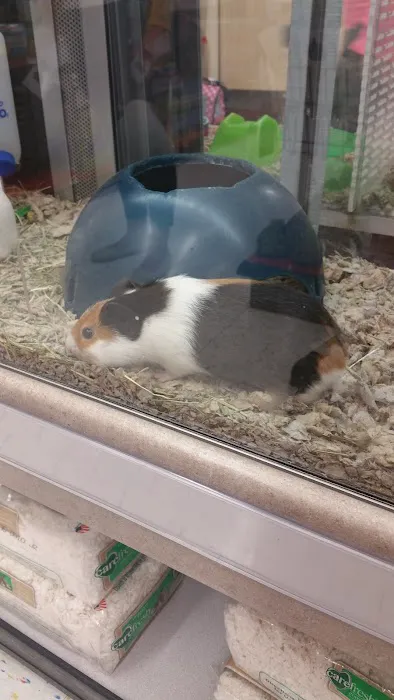 Petco Picture 8