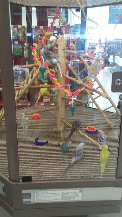 Petco Picture 6