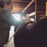 HBEquine Services