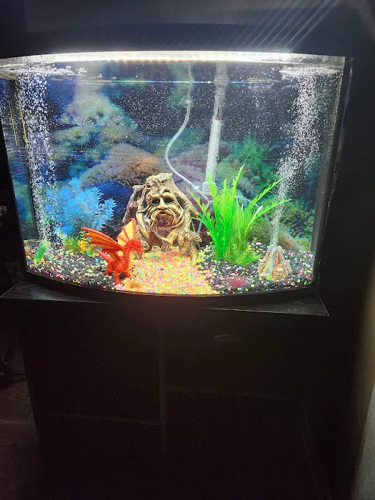 Badgerland Saltwater Picture 8