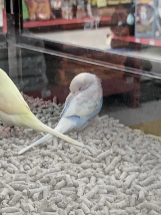Petco Picture 1