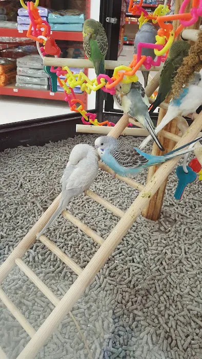 Petco Picture 2