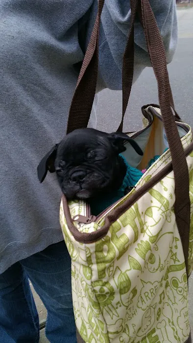 Petco Picture 8