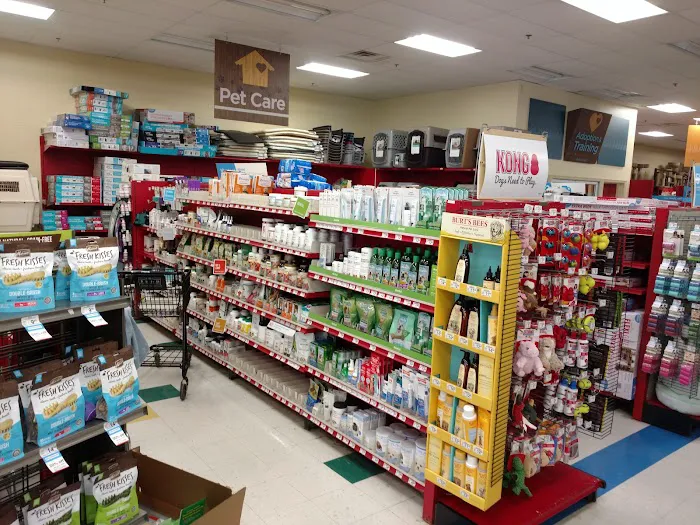 Petco Picture 7