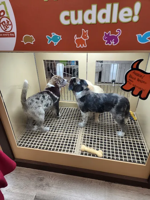 Petland Janesville Picture 9