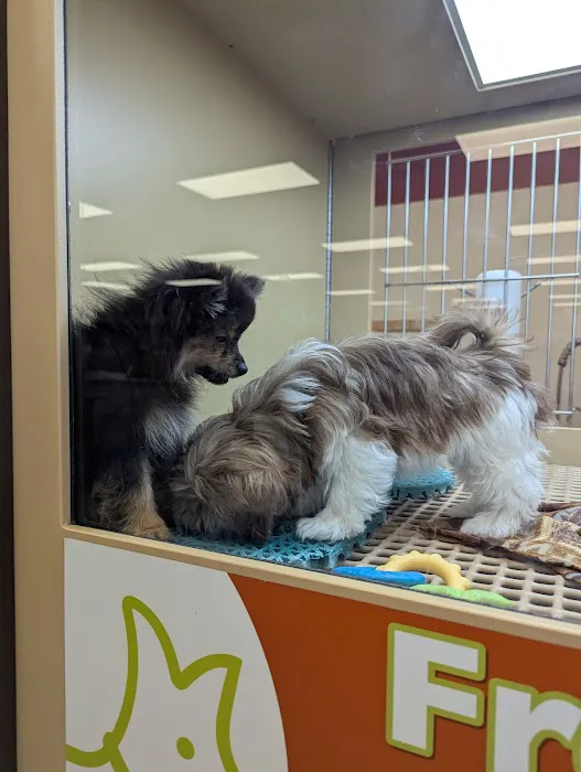 Petland Janesville Picture 4