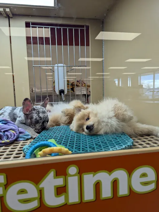 Petland Janesville Picture 3